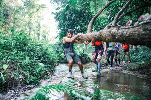 BIB: 
                            <button type="button" onclick="openModal(25442943)" class="btn btn-primary btn-sm float-right btn-popup" data-toggle="modal" data-target=".modal-high-quality">
                        <i class="fas fa-shopping-cart"></i> Add to Cart
                    </button>
                                            <button type="button" onclick="isThisMe(25442943, true)" class="btn btn-success btn-sm float-right btn-popup btn-isme hidden" data-toggle="tooltip" data-placement="bottom" title="นี่คือรูปของคุณใช่ไหม คลิกที่นี่เพื่อเอาเข้าอัลบั้ม">
                        <i class="fas fa-plus"></i> Add to album
                    </button>
                    <button type="button" onclick="isThisMe(25442943, false)" class="btn btn-warning btn-sm float-right btn-popup btn-isnotme hidden">
                        <i class="fas fa-ban"></i> Remove from album
                    </button>